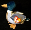 Jake -   Mallard Duck - TY Beanie Baby - 5th G
