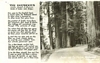 RPPC Postcard of the Redwood Trees Poem by Joseph B. Strauss