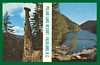 Postcard Pillar Lake Resort Falkland BC Canada