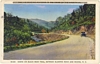 Color Postcard Black Bear Trail Blue Ridge Mountains NC